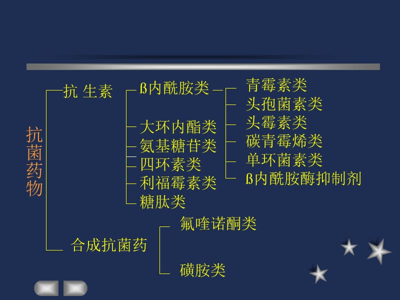 肺炎的治疗.ppt_第2页