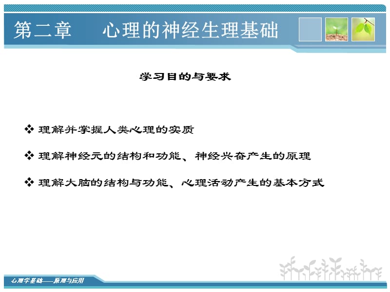 第二部分心理的神经生理基础.ppt_第2页