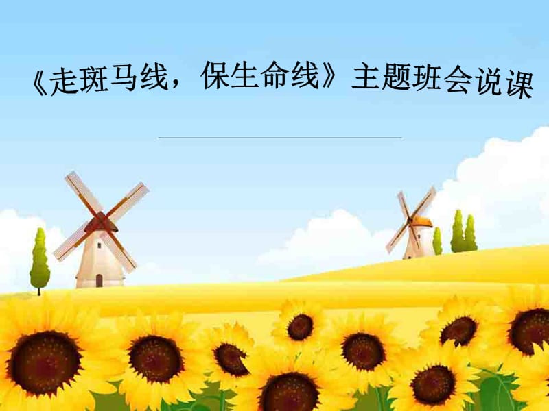 《走斑马线，保生命线》主题班会说课.ppt_第1页