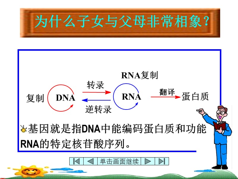 软件仓库-遗传信息的传递与表达.ppt_第2页