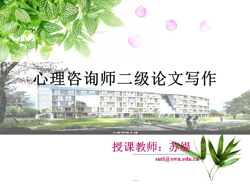 苏缇心理咨询师二级.ppt_第1页