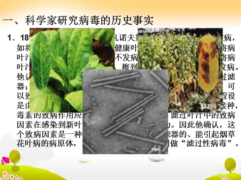 生物：1.2《生物科学的学习过程》课件(苏教版必修1).ppt_第3页