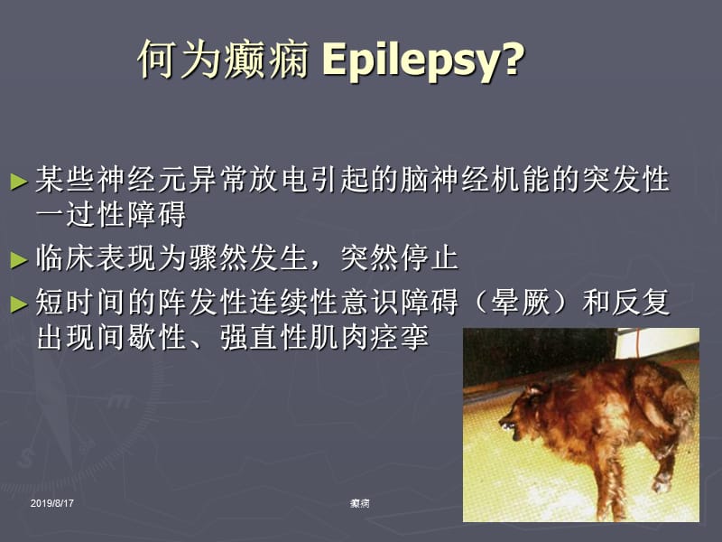 犬猫癫痫及其控制与治疗.ppt_第2页