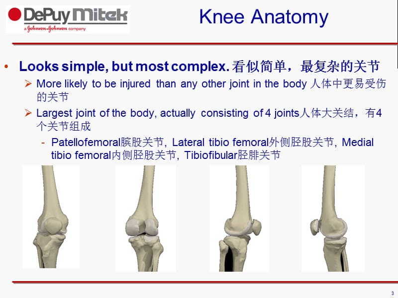 膝关节解剖.ppt_第3页