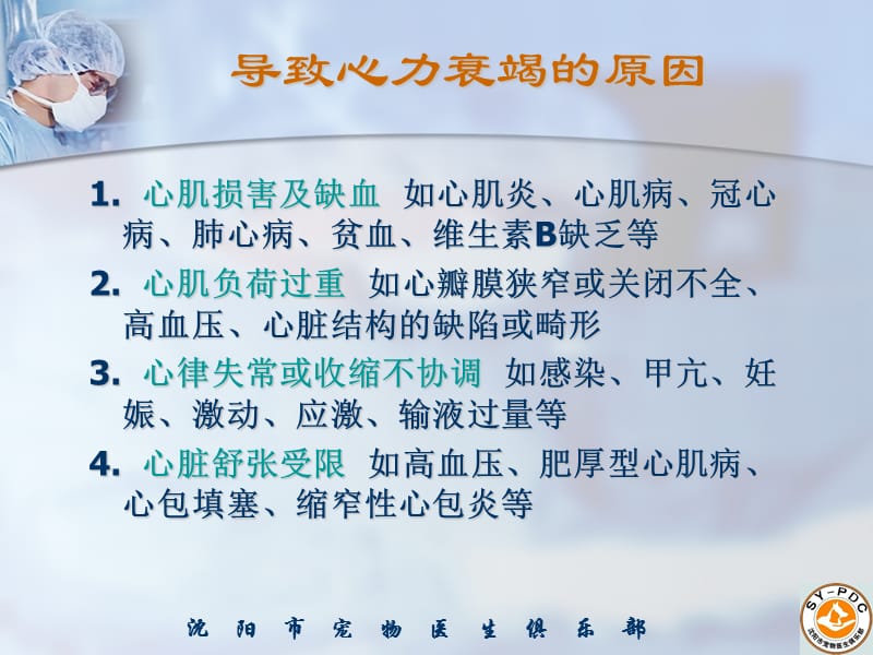 犬猫心力衰竭.ppt_第3页