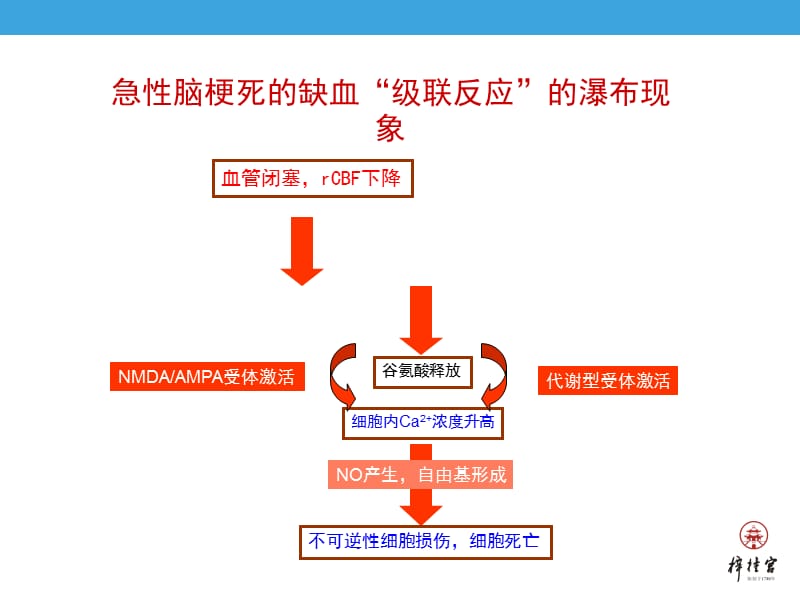 神经保护剂.ppt_第3页