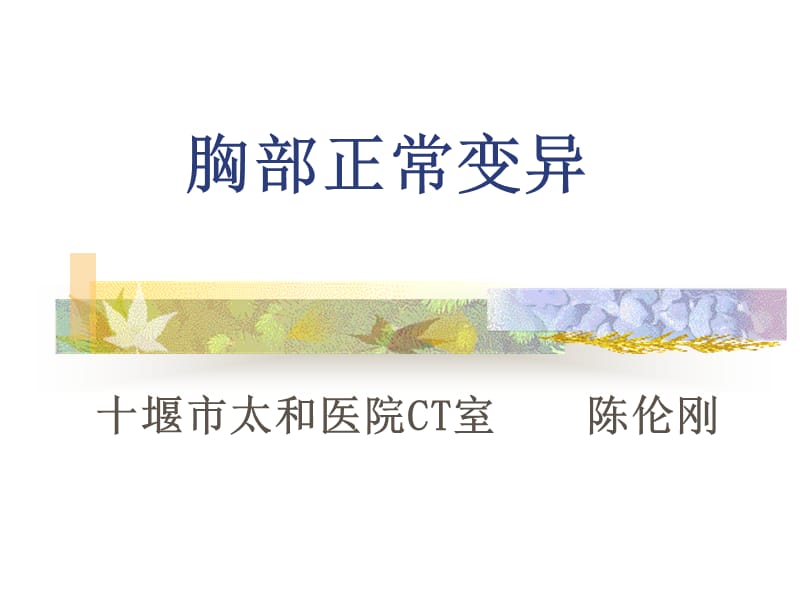 胸部正常变异ppt课件.ppt_第1页