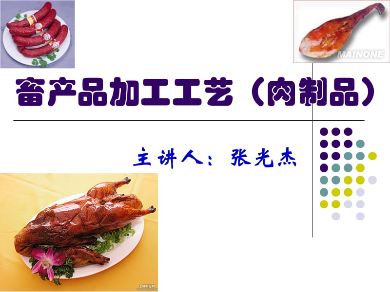 畜产品加工工艺肉制品.ppt_第1页