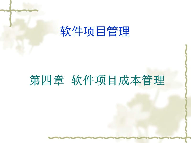 软件项目管理.ppt_第1页