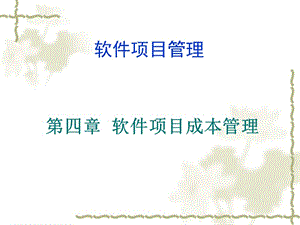 软件项目管理.ppt