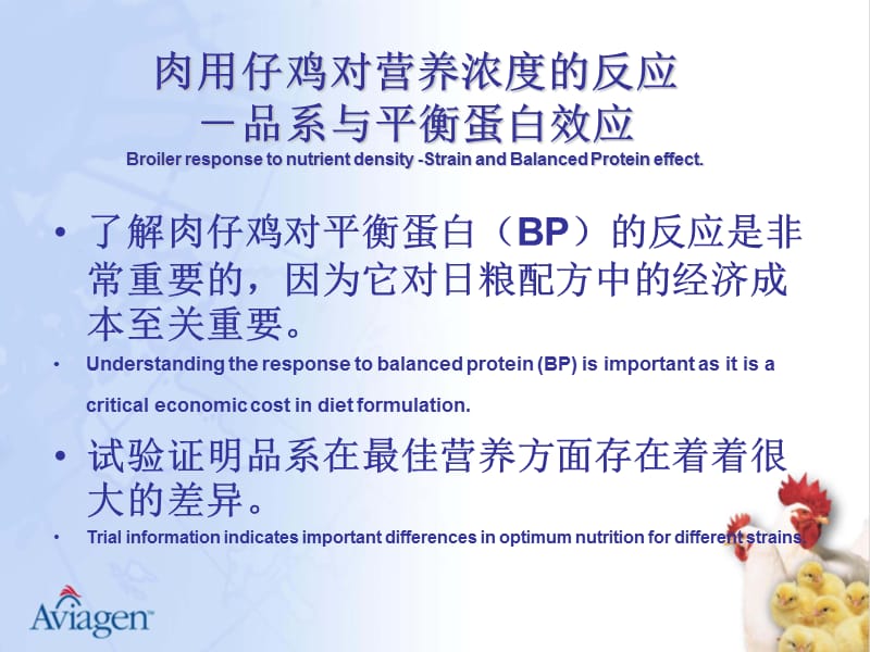 肉用仔鸡的营养浓度.ppt_第3页