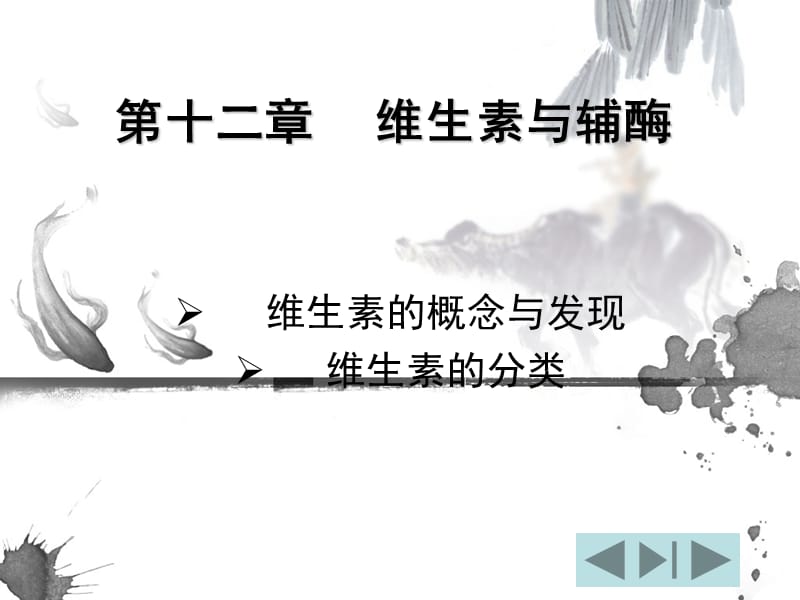 维生素与辅酶.ppt_第1页