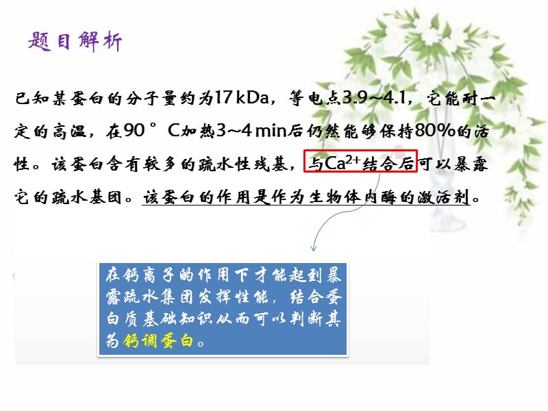 生物化学-有动画.ppt_第2页