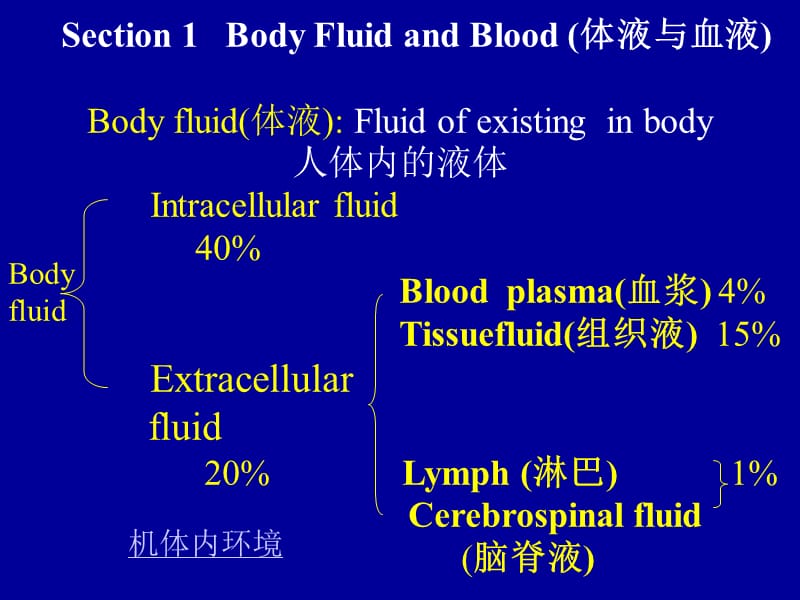 萝卜家园Chapter6Blood血液.ppt_第2页