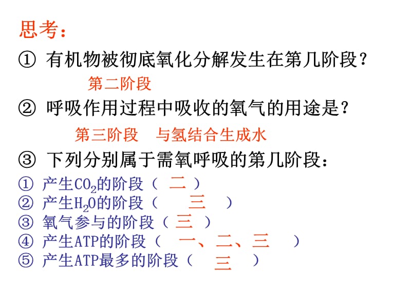 厌氧呼吸 与 需氧呼吸.ppt_第2页