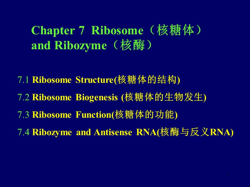 细胞学第7讲-核糖体和核酶.ppt_第1页