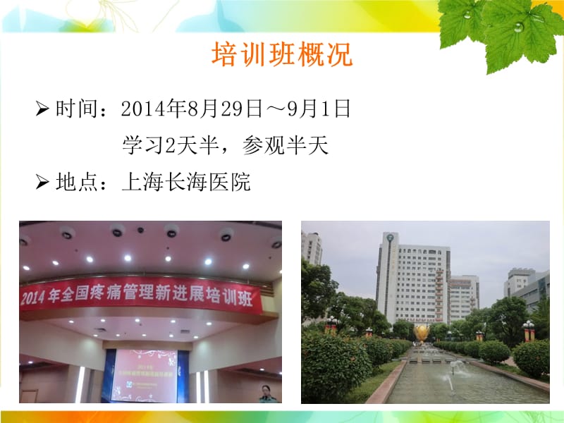 疼痛护理学习班汇报课件.ppt_第2页