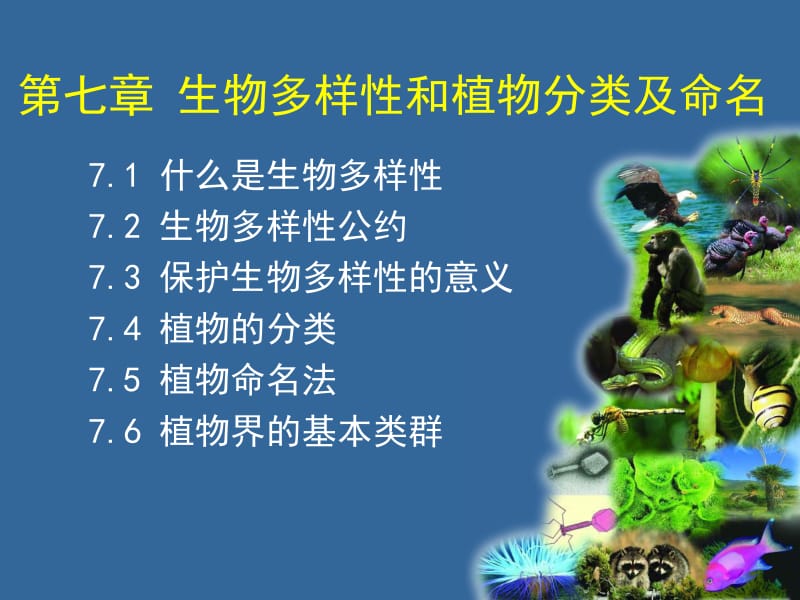 生物多样性和植物分类及命名.ppt_第1页