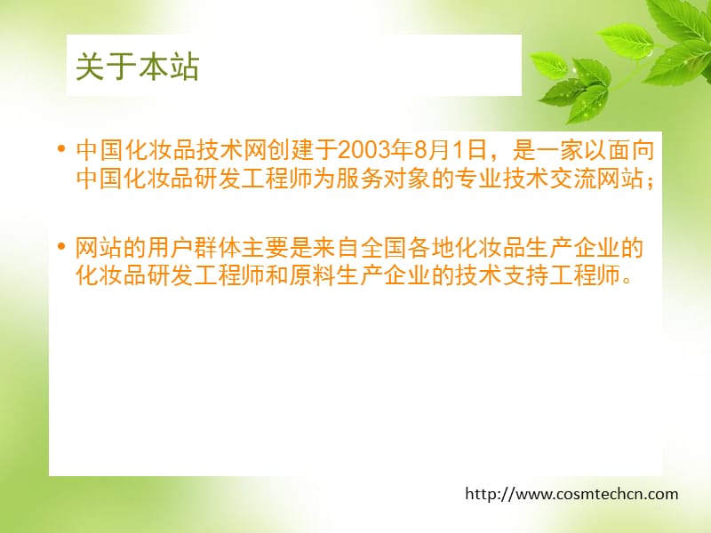 中国化妆品技术网.ppt_第2页