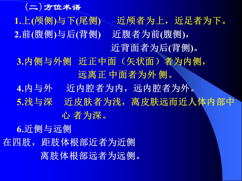 解剖生理学的第三次简明骨骼系统.ppt_第3页