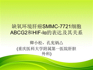 缺氧环境肝癌SMMC.ppt