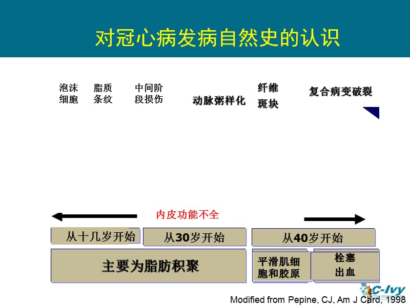 非PCI冠心病患者的他汀治疗教学课件.ppt_第3页