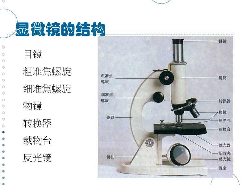 生物：《使用高倍显微镜观察几种细胞》课件.ppt_第2页