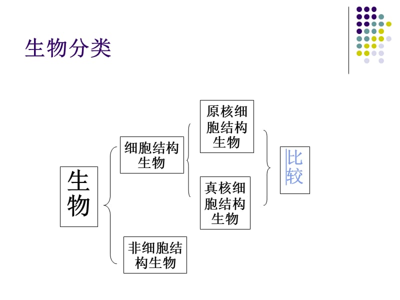 细胞的结构与功能复习期末复习(自).ppt_第2页