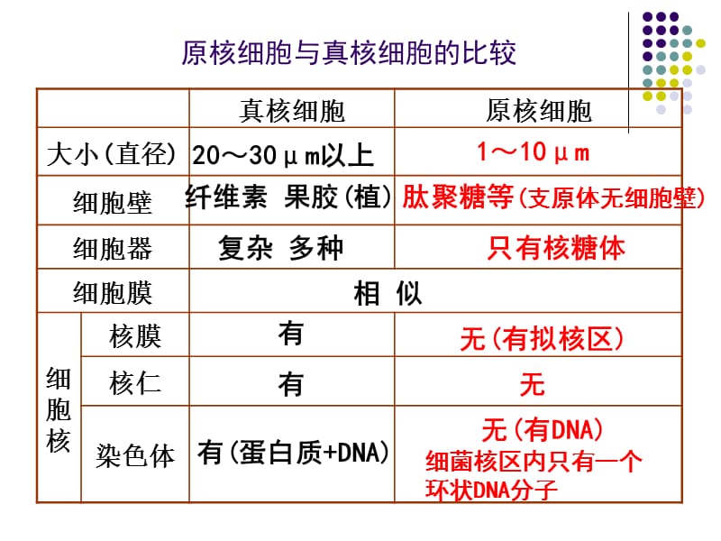 细胞的结构与功能复习期末复习(自).ppt_第3页