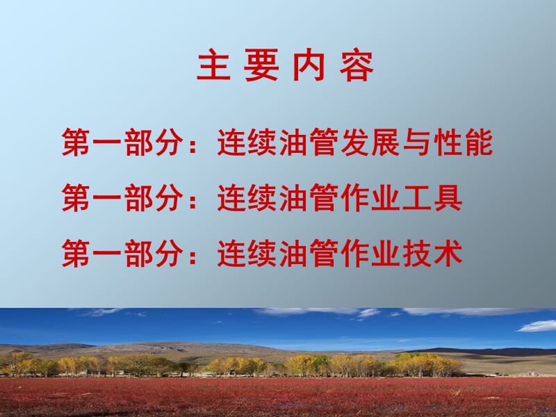 连续油管技术22.ppt_第2页