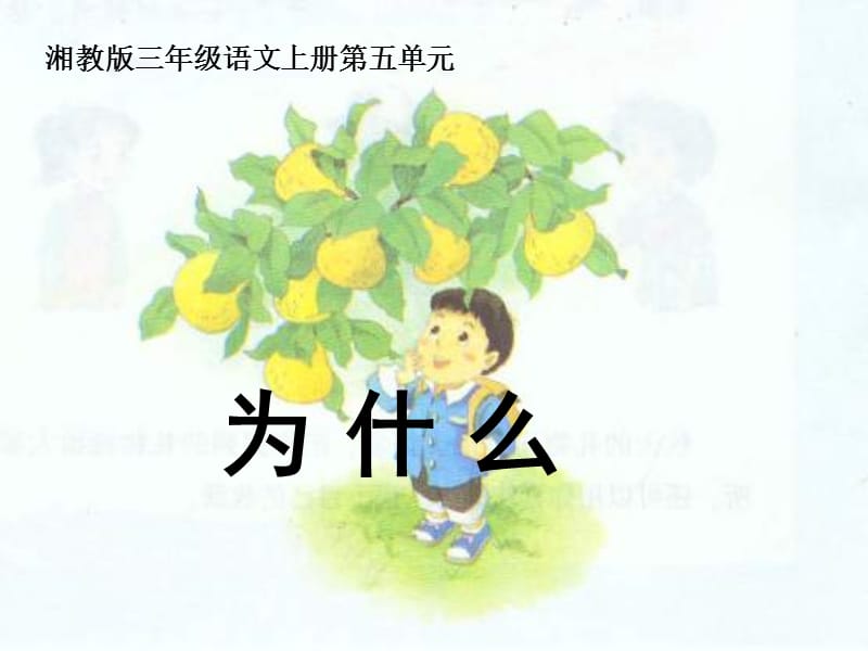 湘教版三年级上册为什么课件.ppt_第1页