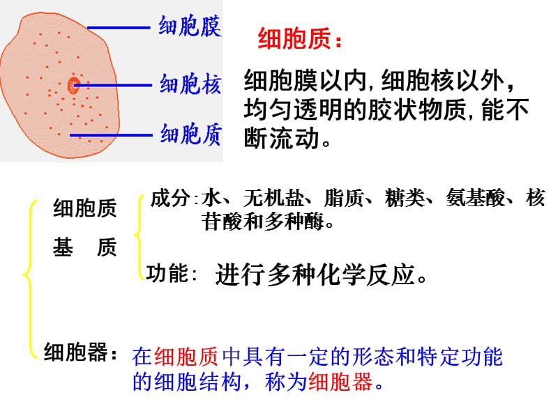 生物：3.2细胞器——系统内的分工合作(新人教版必修一).ppt_第3页