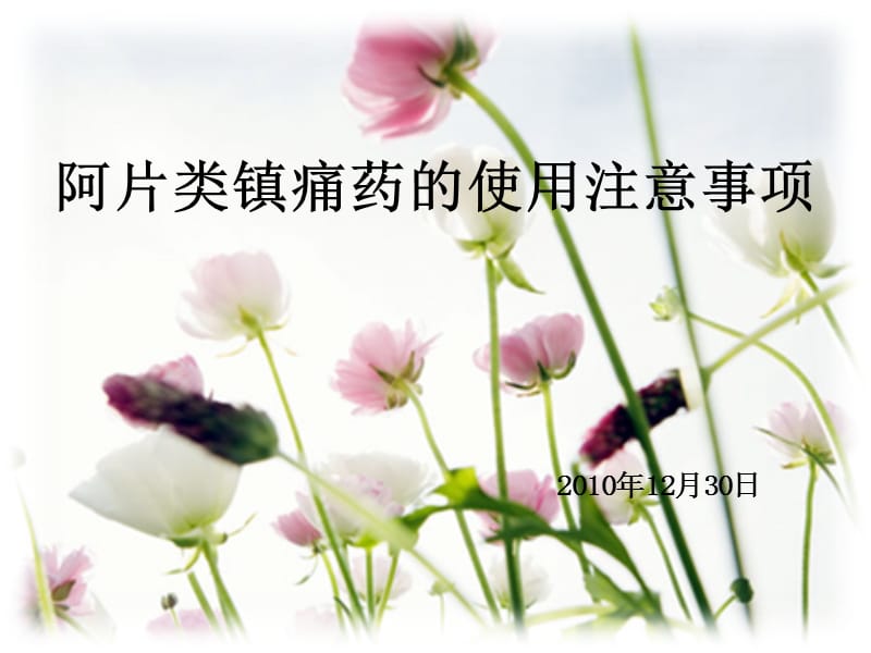 阿片类药物的使用注意事项.ppt_第1页