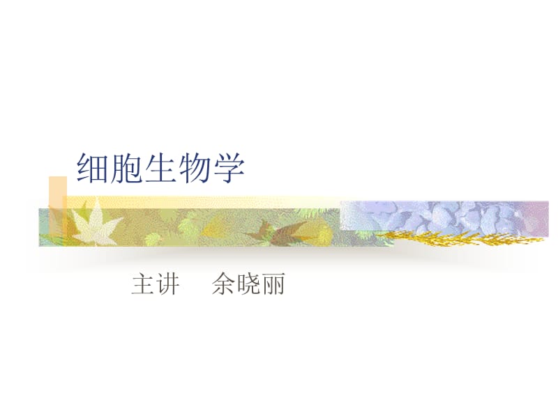 细胞生物学.ppt_第1页