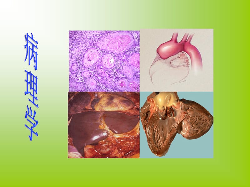 病理学课件第一章绪论.ppt_第1页