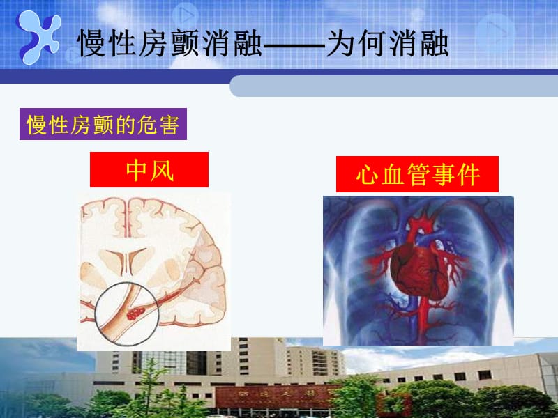 蒋晨阳浙江大学医学院附属邵逸夫医院心内科.ppt_第3页