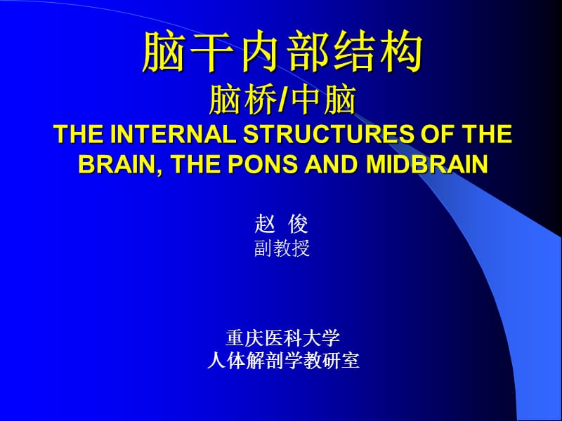 脑干内部结构：脑桥、中脑.ppt_第1页