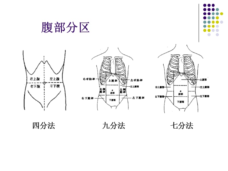 腹部.ppt_第3页