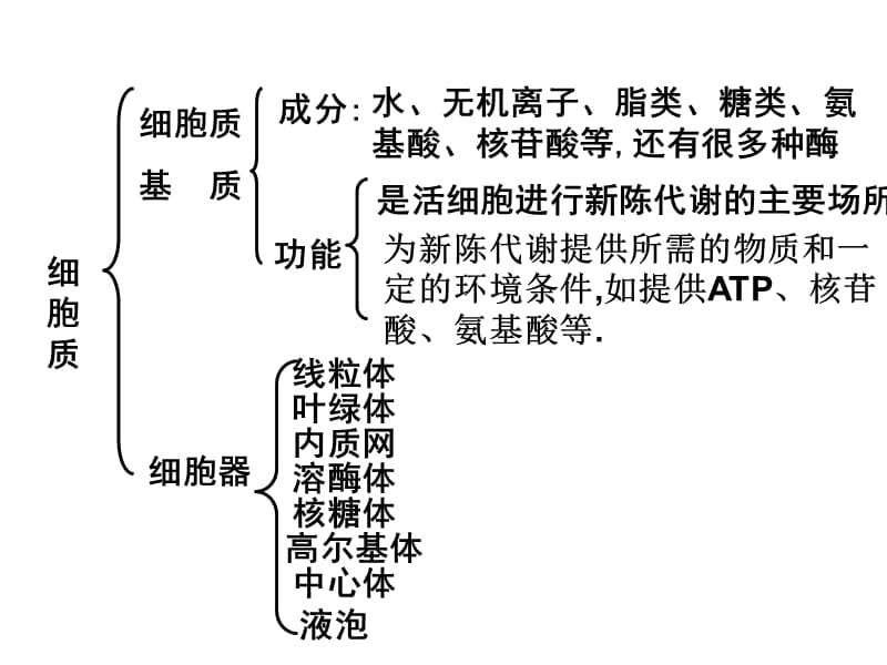 细胞器──系统内的分工合作.ppt_第2页