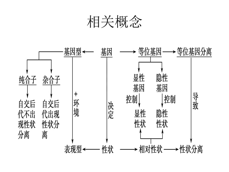 考查内容.ppt_第2页