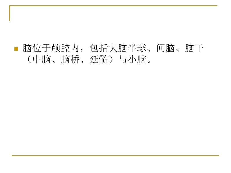 脑MRI常用解剖(局部).ppt_第2页