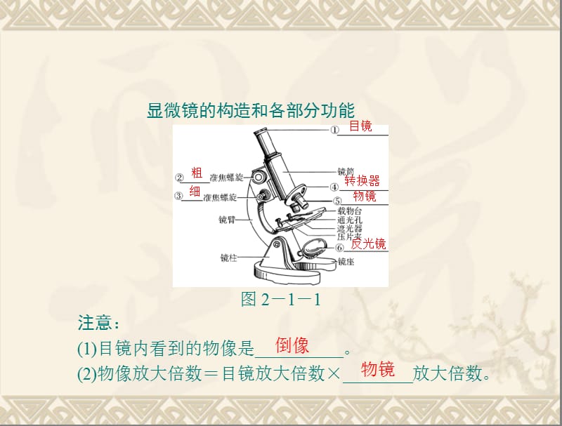 生物：2.1.1《练习使用显微镜》课件(人教版七年级上).ppt_第3页