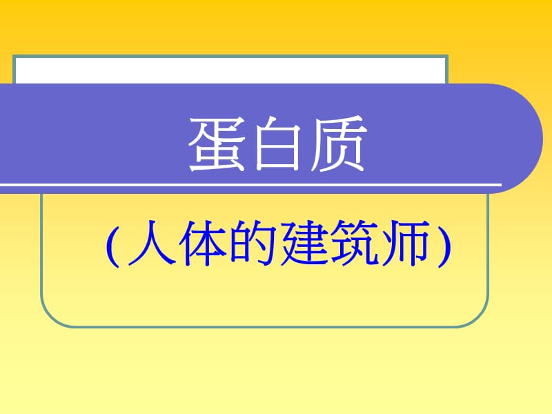 蛋白质ppt课件.ppt_第1页