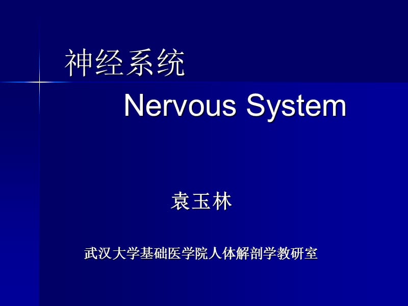 神经系统-药学(龚).ppt_第1页