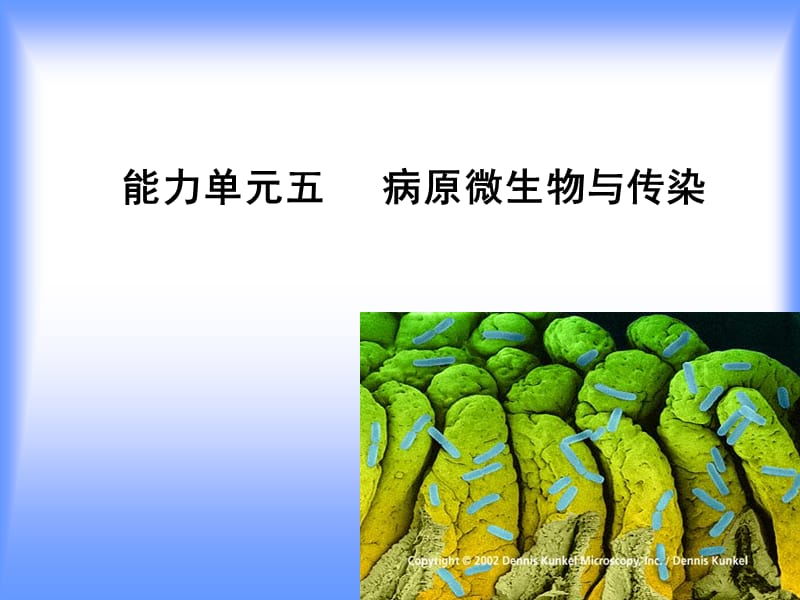 能力单元五病原微生物与传染.ppt_第1页