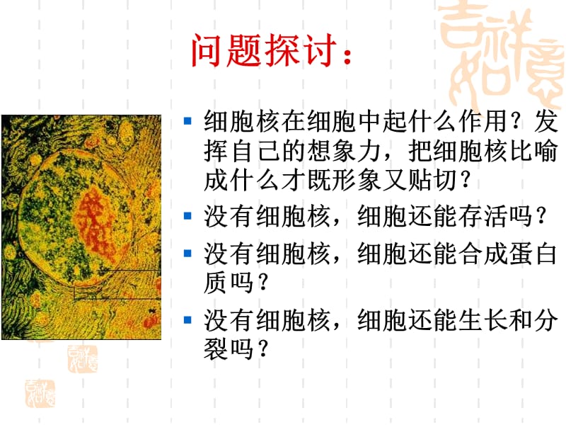 细胞核──系统的控制中心 ppt.ppt_第2页