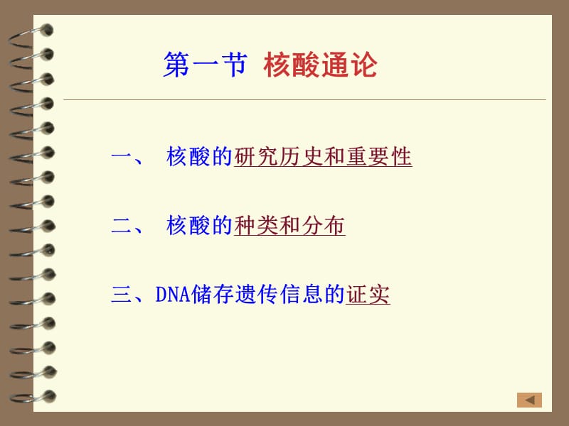 第二部分核酸化学.ppt_第3页