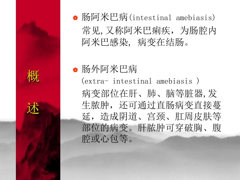 溶组织内阿米巴感染.ppt_第3页