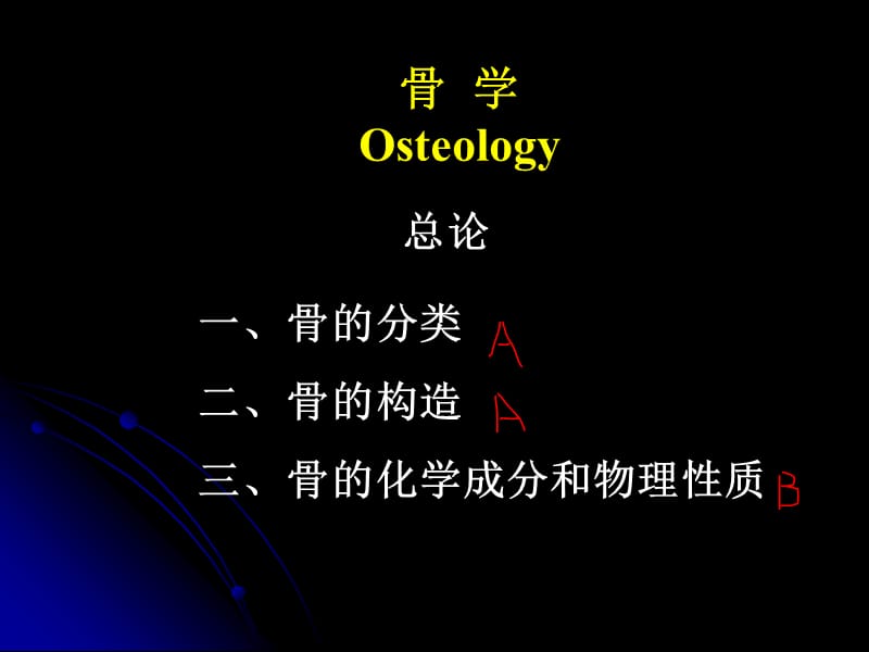 骨学与关节学总论ppt课件.ppt_第2页