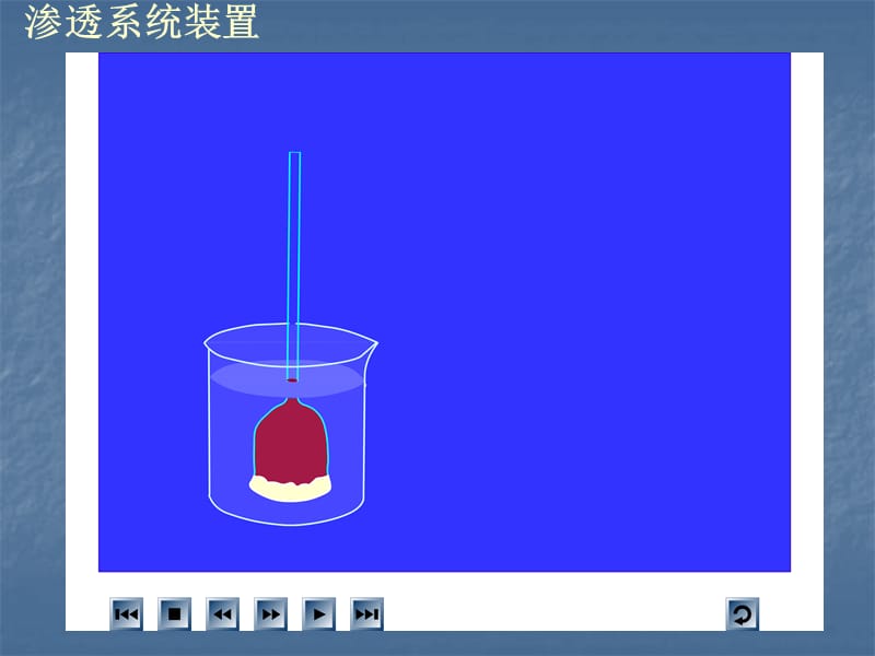 生物：4.1《物质跨膜运输的实例》课件(1)(新人教版必修1).ppt_第2页